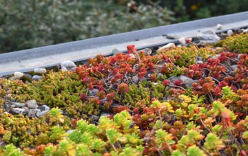 the cost of Force Mills green roof installation