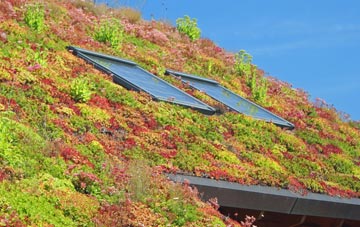 Force Mills living roof systems