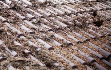 Force Mills roof cleaning companies