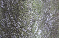 Force Mills fibreglass roof work